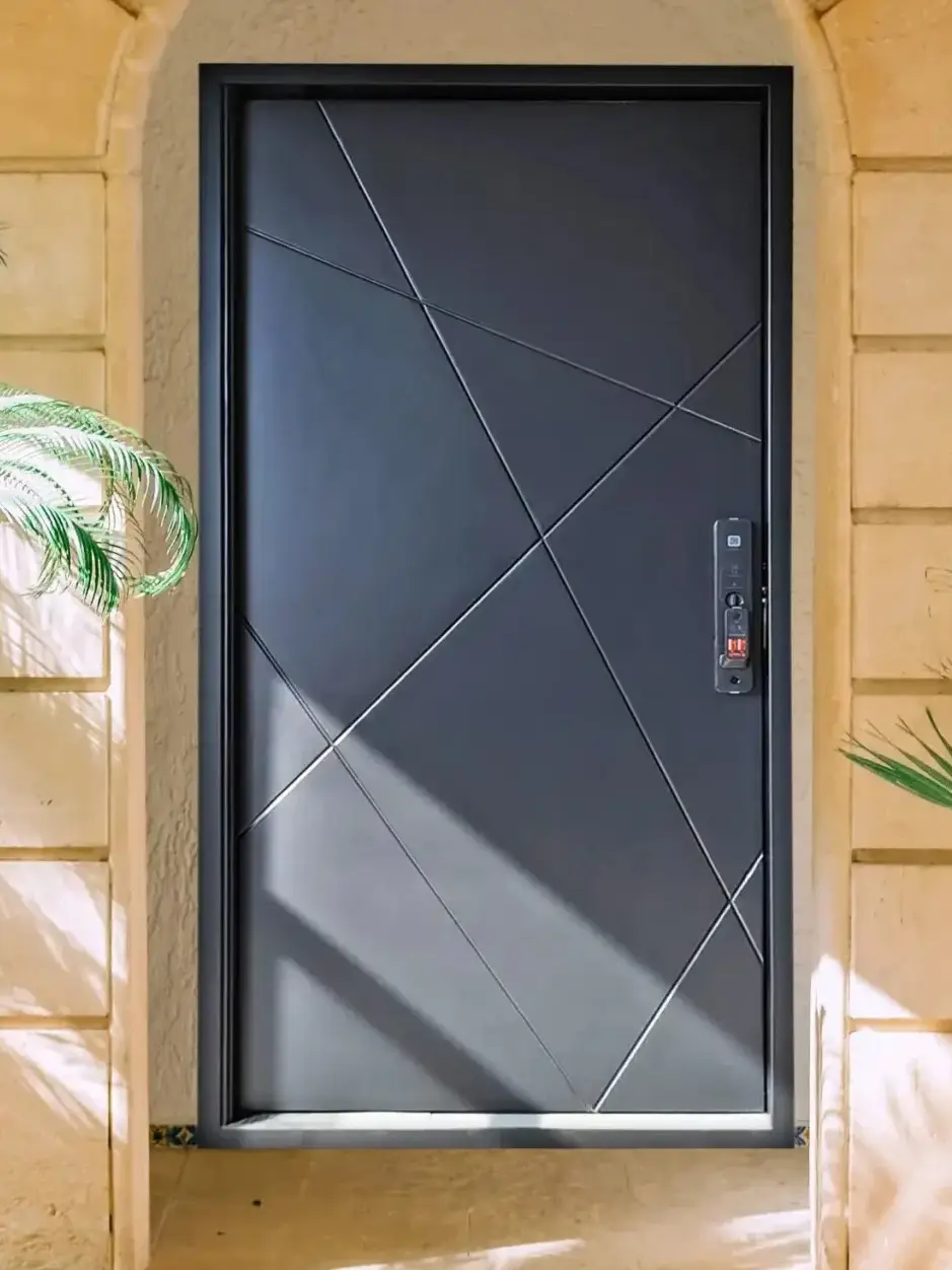Modern Steel Door