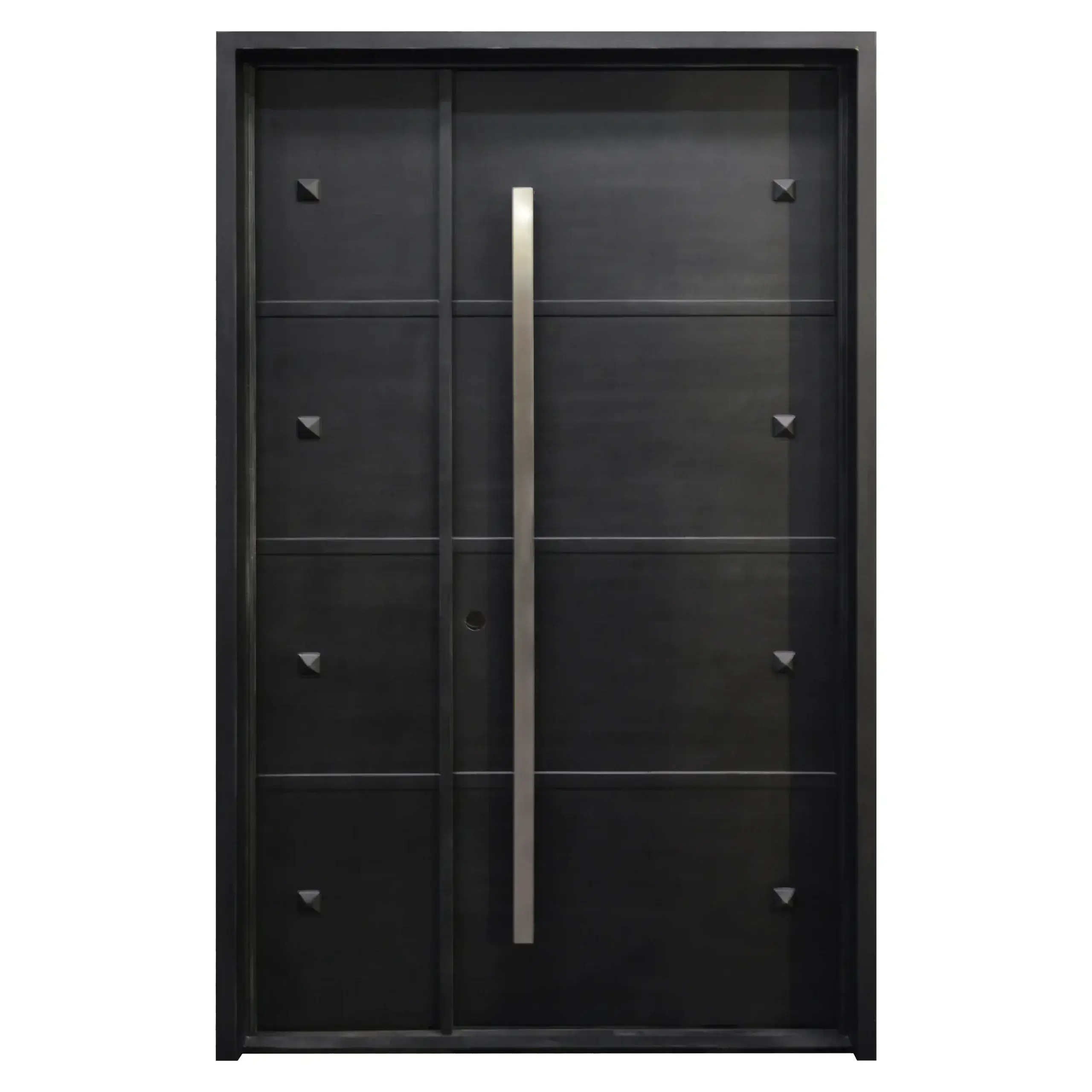 Modern Steel Door