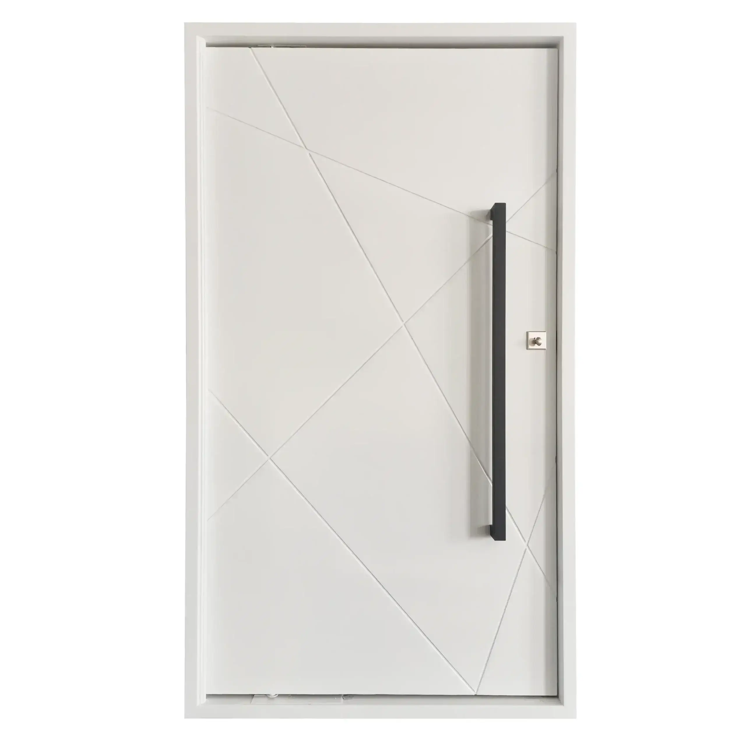 Modern Steel Door